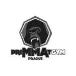 PriMMAt Gym | promolab.cz